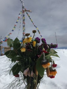 Flowers_on_top_of_the_bowl - 1